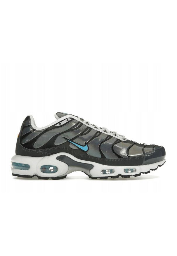 Buty sportowe męskie Nike Air Max Plus. Kolor: wielokolorowy. Model: Nike Air Max