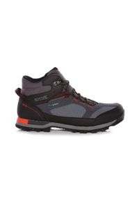 Buty trekkingowe męskie Regatta Blackthorn Evo wodoodporne. Kolor: szary. Sport: turystyka piesza