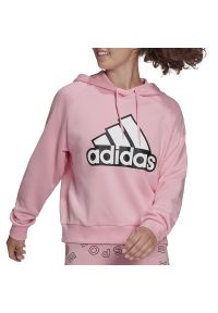 Adidas - Bluza adidas Essentials Outlined Logo Hoodie HC9174 - różowa. Okazja: na co dzień. Kolor: różowy. Materiał: materiał, bawełna. Wzór: aplikacja. Styl: casual, klasyczny, sportowy #1