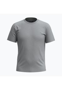 Koszulka trekkingowa męska Smartwool Short Sleeve Tee Slim Fit. Kolor: szary