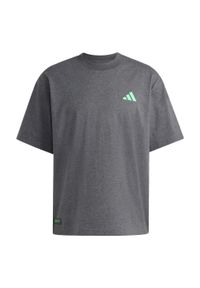 Adidas - Koszulka Mercedes - AMG Petronas Formula One Team Premium Sweat. Kolor: szary. Sport: fitness