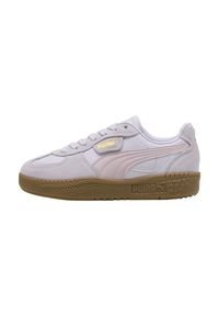 Puma Buty Palermo Moda Jr 39885508. Kolor: fioletowy