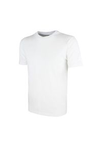 Koszulka dla dzieci Kappa Rieti. Kolor: biały. Sport: fitness #1