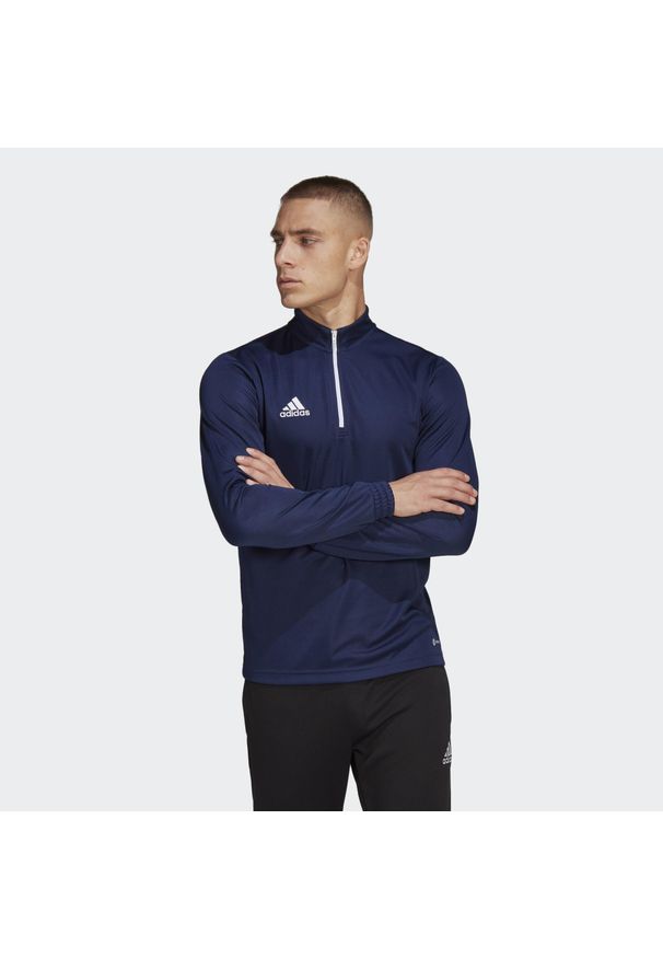 Bluza piłkarska męska Adidas Entrada 22 Training Top. Kolor: niebieski. Materiał: poliester. Sport: piłka nożna