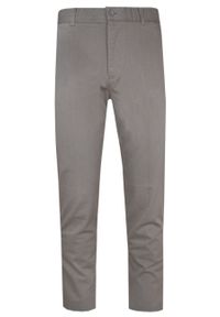 Spodnie Męskie Ravanelli - Slim Fit - Beżowe. Kolor: brązowy, wielokolorowy, beżowy. Materiał: bawełna, poliester #1