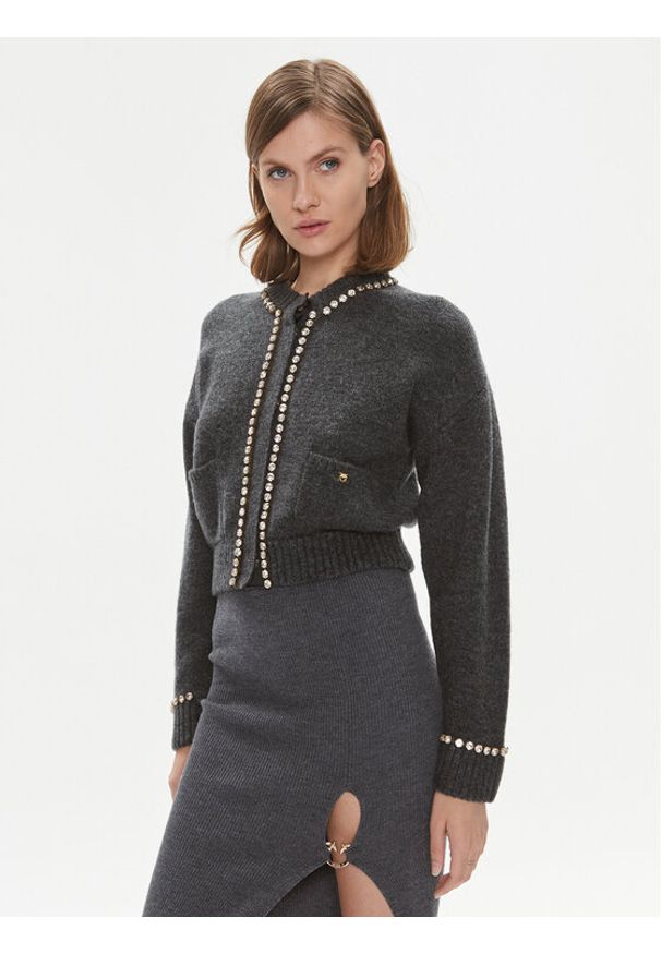 Kardigan Pinko. Kolor: szary. Materiał: syntetyk