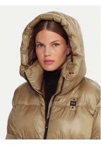 Blauer Płaszcz zimowy 25WBLDK02192 Brązowy Regular Fit. Kolor: brązowy. Materiał: syntetyk. Sezon: zima
