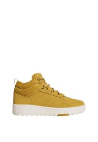 Adidas - Buty Hoops 4.0 Mid. Kolor: brązowy, biały, zielony, wielokolorowy. Sport: koszykówka