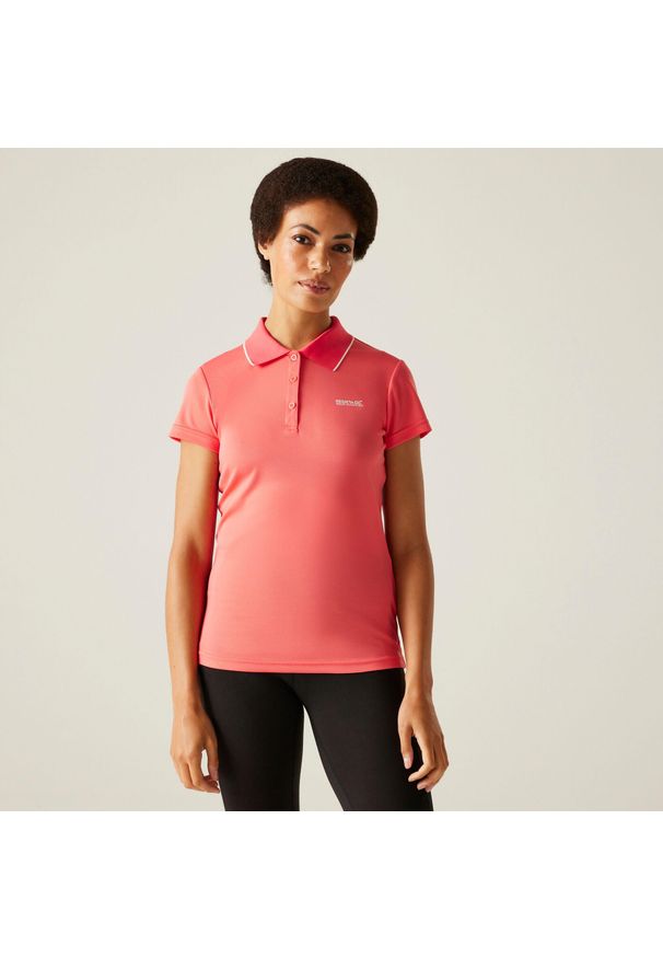 Regatta - Damska koszulka turystyczna polo Maverick V. Typ kołnierza: polo. Kolor: różowy. Materiał: materiał. Sport: turystyka piesza