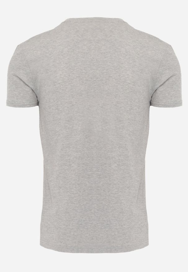 Born2be - Jasnoszara Koszulka T-shirt z Bawełny z Dekoltem w Serek Rionisse. Okazja: do domu, do pracy. Typ kołnierza: dekolt w serek. Kolor: szary. Materiał: bawełna. Styl: elegancki, klasyczny