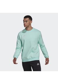 Adidas - Bluza adidas Entrada 22. Kolor: zielony. Sport: fitness, piłka nożna