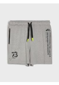 Sinsay - Szorty sportowe Active - szary. Kolor: szary. Styl: sportowy