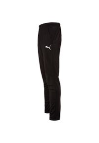 Spodnie sportowe męskie Puma Liga 655770-03. Kolor: czarny. Sport: fitness