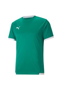 Koszulka męska Puma teamLIGA Jersey. Kolor: wielokolorowy, biały, zielony. Materiał: jersey