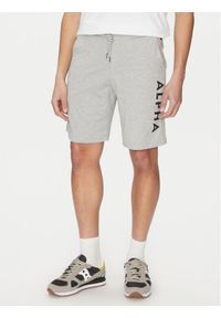 Alpha Industries Szorty sportowe 116366 Szary Regular Fit. Kolor: szary. Materiał: bawełna. Styl: sportowy #1