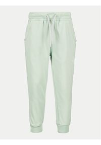 Didriksons Spodnie dresowe Corin 505004 Zielony Regular Fit. Kolor: zielony. Materiał: syntetyk #1