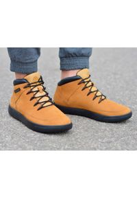 Buty lifestyle męskie Timberland Ashwood Park A2GS9. Kolor: żółty