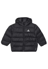 Adidas - adidas Kurtka zimowa JL7389 Czarny Regular Fit. Kolor: czarny. Materiał: syntetyk. Sezon: zima