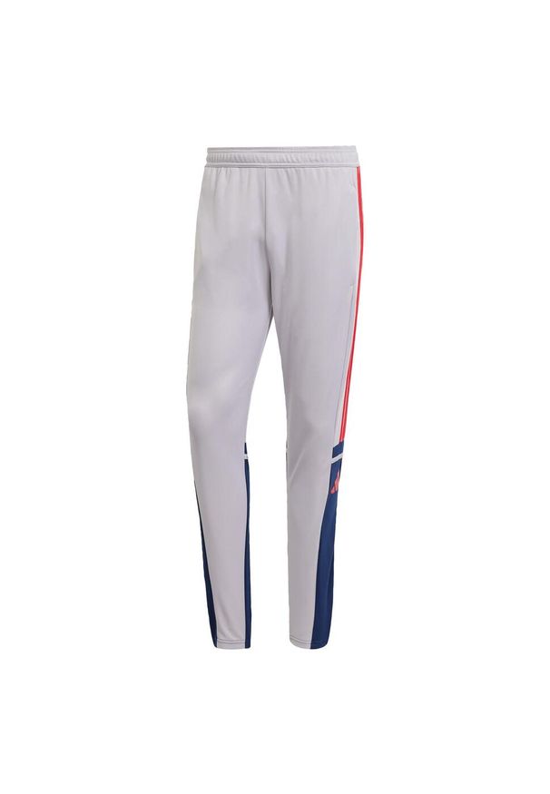 Adidas - Spodnie Squadra 25 Training. Kolor: czerwony, szary, niebieski, wielokolorowy. Materiał: materiał. Sport: fitness, piłka nożna