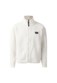 DARE 2B - Kurtka Dziecięca Zesty II Fleece Jacket. Kolor: szary. Sezon: zima #1