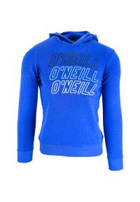 Bluza z kapturem dla dzieci O'Neill LB All Year. Typ kołnierza: kaptur. Kolor: niebieski. Materiał: materiał, bawełna. Sport: joga i pilates #1