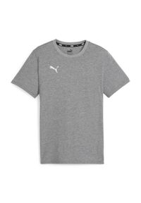 Koszulka dla dzieci Puma Team Goal. Kolor: szary. Sport: piłka nożna #1