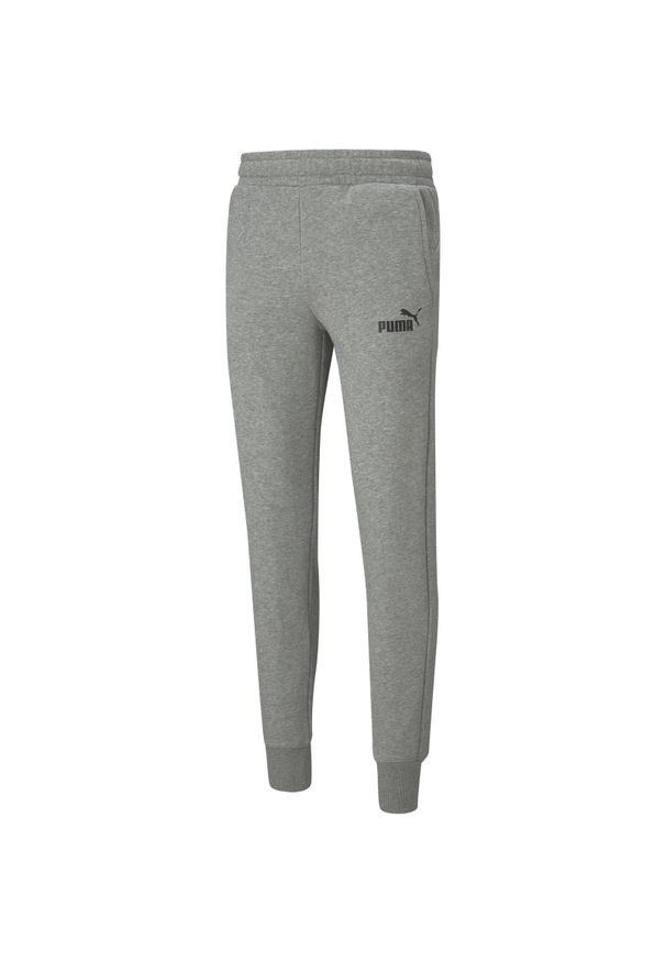 Puma Essentials Slim, Szary. Kolor: szary. Materiał: materiał