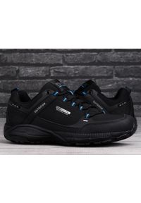 Buty męskie trekking DK PREDATOR LOW. Kolor: czarny, wielokolorowy, niebieski. Sport: turystyka piesza