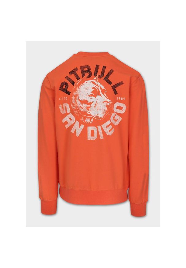 PITBULL - Bluza męska Pitbull DOG SD. Kolor: różowy