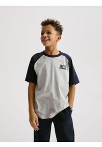 Reserved - T-shirt z nadrukiem - jasnoszary. Kolor: szary. Materiał: bawełna, dzianina. Wzór: nadruk