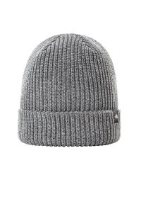 The North Face Beanie Fisherman > 0A55JGDYY1. Materiał: materiał, poliester. Wzór: aplikacja. Styl: casual, klasyczny #1