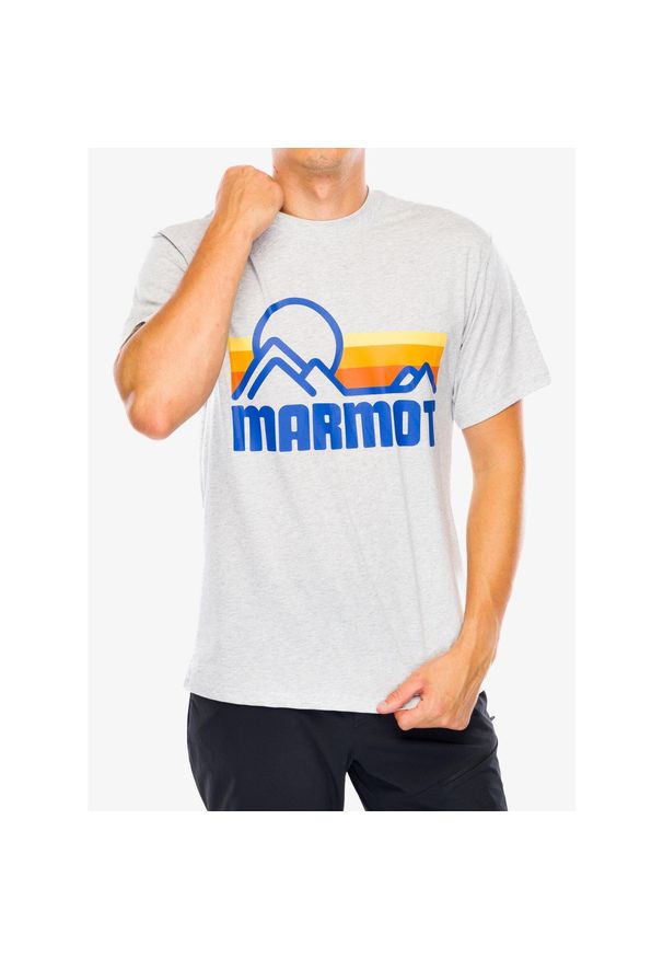 Koszulka bawełniana męska Marmot Coastal Tee. Typ kołnierza: polo. Kolor: szary. Materiał: bawełna