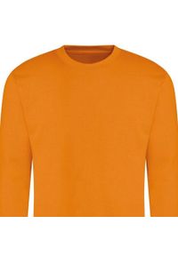 AWDIS - Zwykła Bluza Unisex Dla Dorosłych. Kolor: pomarańczowy