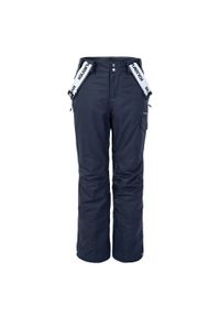 Iguana - Damskie Spodnie Narciarskie Nala. Kolor: biały, niebieski, wielokolorowy, zielony. Sezon: zima. Sport: narciarstwo #1