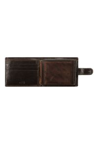 Wittchen - Męski portfel skórzany z przezroczystym panelem brązowy. Kolor: brązowy. Materiał: skóra #5