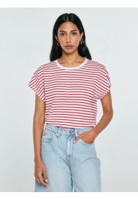 Big-Star - Koszulka damska w paski biało-czerwona Aleksa 603. Kolor: czerwony. Materiał: dzianina, bawełna, żakard. Wzór: paski #1