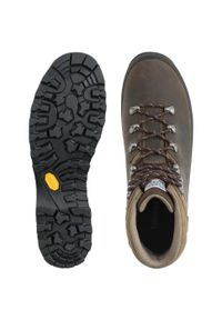 Buty trekkingowe męskie Dolomite Tofana GTX. Kolor: brązowy. Sport: turystyka piesza #2