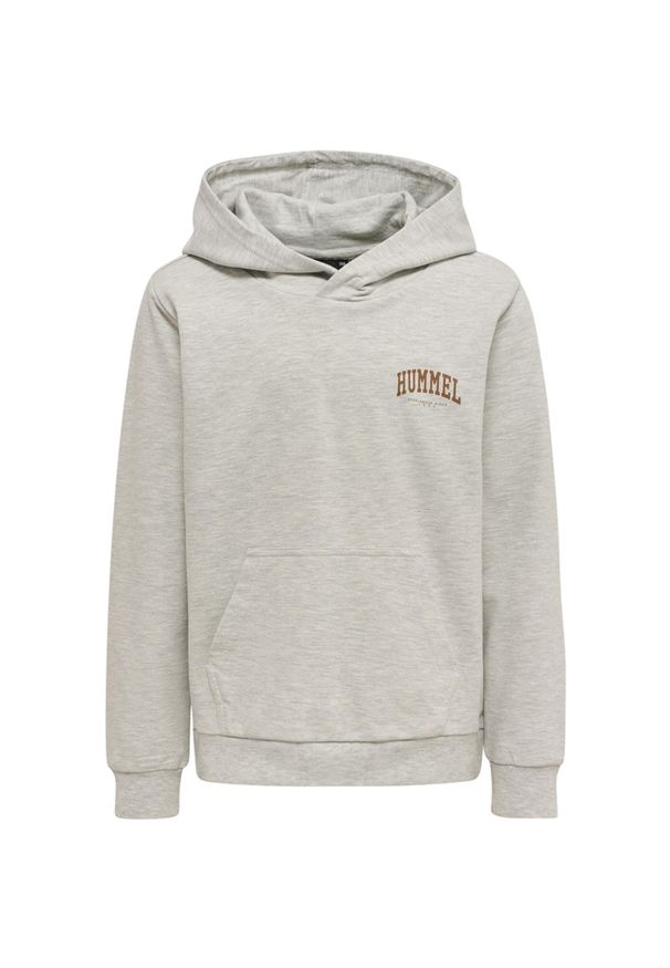 Bluza z kapturem dla dzieci Hummel Fast. Typ kołnierza: kaptur. Kolor: szary