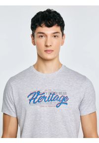 Big-Star - Koszulka męska z nadrukiem szara Keren 902. Kolor: szary. Materiał: bawełna. Wzór: nadruk #6