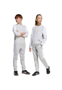 Adidas - Spodnie dla dzieci adidas Squadra 25 Sweat. Okazja: na co dzień. Kolor: biały, wielokolorowy, szary. Styl: sportowy, casual