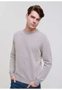 Ochnik - Szary bawełniany sweter męski. Kolor: szary. Materiał: bawełna. Długość rękawa: długi rękaw. Długość: długie
