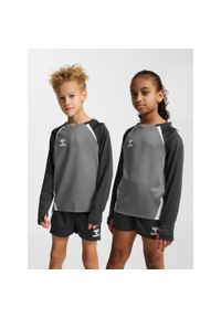 Dziecięcy dżersej z długim rękawem Hummel Lead 2.0. Kolor: szary. Materiał: jersey. Długość rękawa: długi rękaw. Długość: długie #1