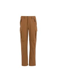Regatta - Spodnie Męskie Questra Cargo. Kolor: brązowy. Sezon: lato. Sport: turystyka piesza #1