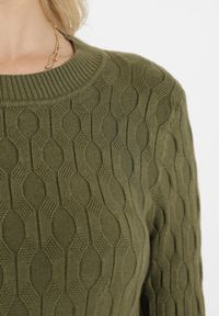 Born2be - Zielony Klasyczny Sweter z Tłoczonym Zdobieniem Nainea. Okazja: na co dzień. Kolor: zielony. Wzór: aplikacja. Styl: klasyczny #4