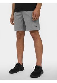4f - 4F Spodenki treningowe szybkoschnące męskie L. Kolor: szary. Materiał: materiał, guma, włókno #2