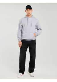 Big-Star - Bluza męska z kapturem szara Litson 901. Typ kołnierza: kaptur. Kolor: szary. Materiał: żakard, bawełna, poliester #3