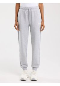 Big-Star - Spodnie damskie dresowe szare Kathy 901. Kolor: szary. Materiał: dresówka. Wzór: nadruk #1