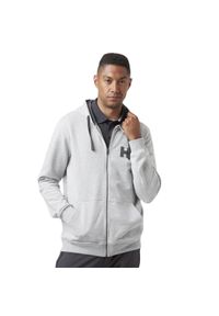 Bluza Męska Helly Hansen Hh Logo FZ. Kolor: szary #1