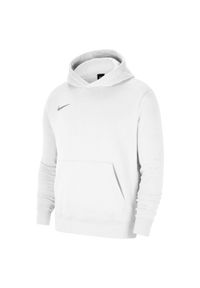 Bluza sportowa chłopięca Nike JR Park 20 Fleece. Typ kołnierza: kaptur. Kolor: wielokolorowy, szary, biały. Styl: sportowy