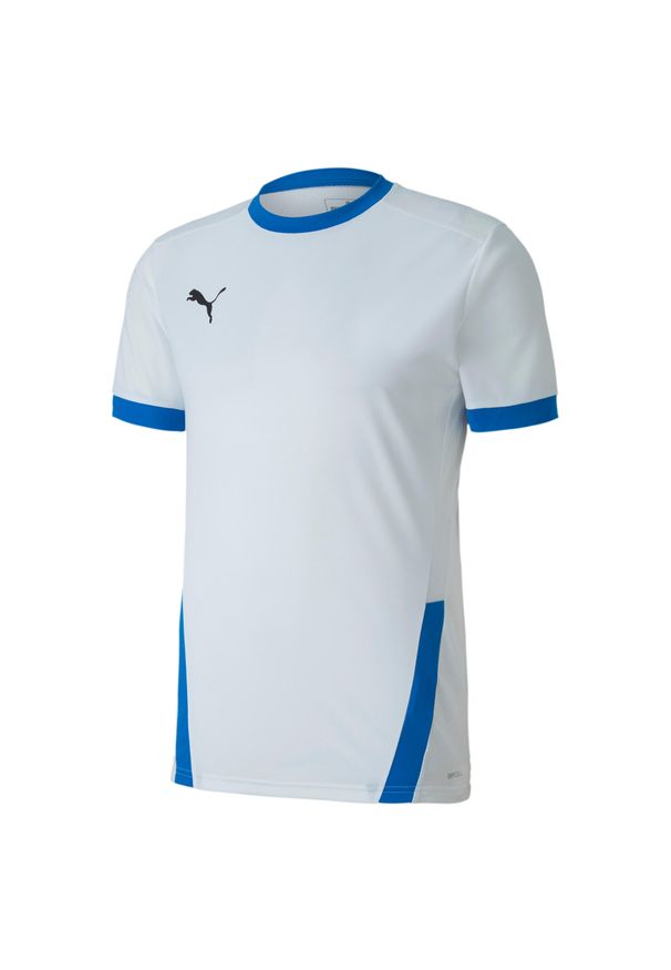 Koszulka męska Puma teamGOAL 23 Jersey. Kolor: biały, wielokolorowy, niebieski. Materiał: jersey. Sport: fitness